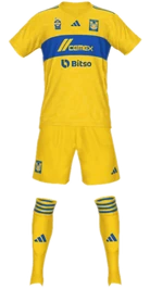 Tigres UANL home (2023-24)