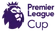 Premier League Cup