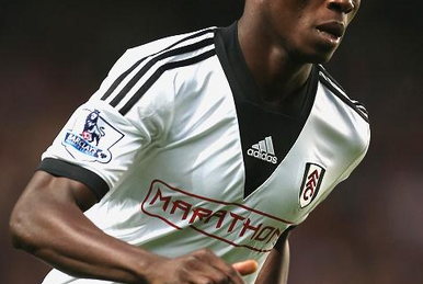 Papa Bouba Diop, Fulham Wiki