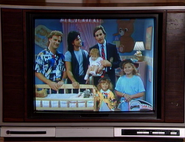 The family on TV