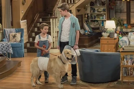 Fullerhouse DoggyDaddy
