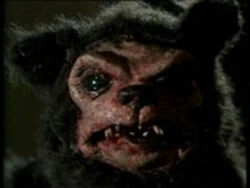 Grizzly-teddy-1-