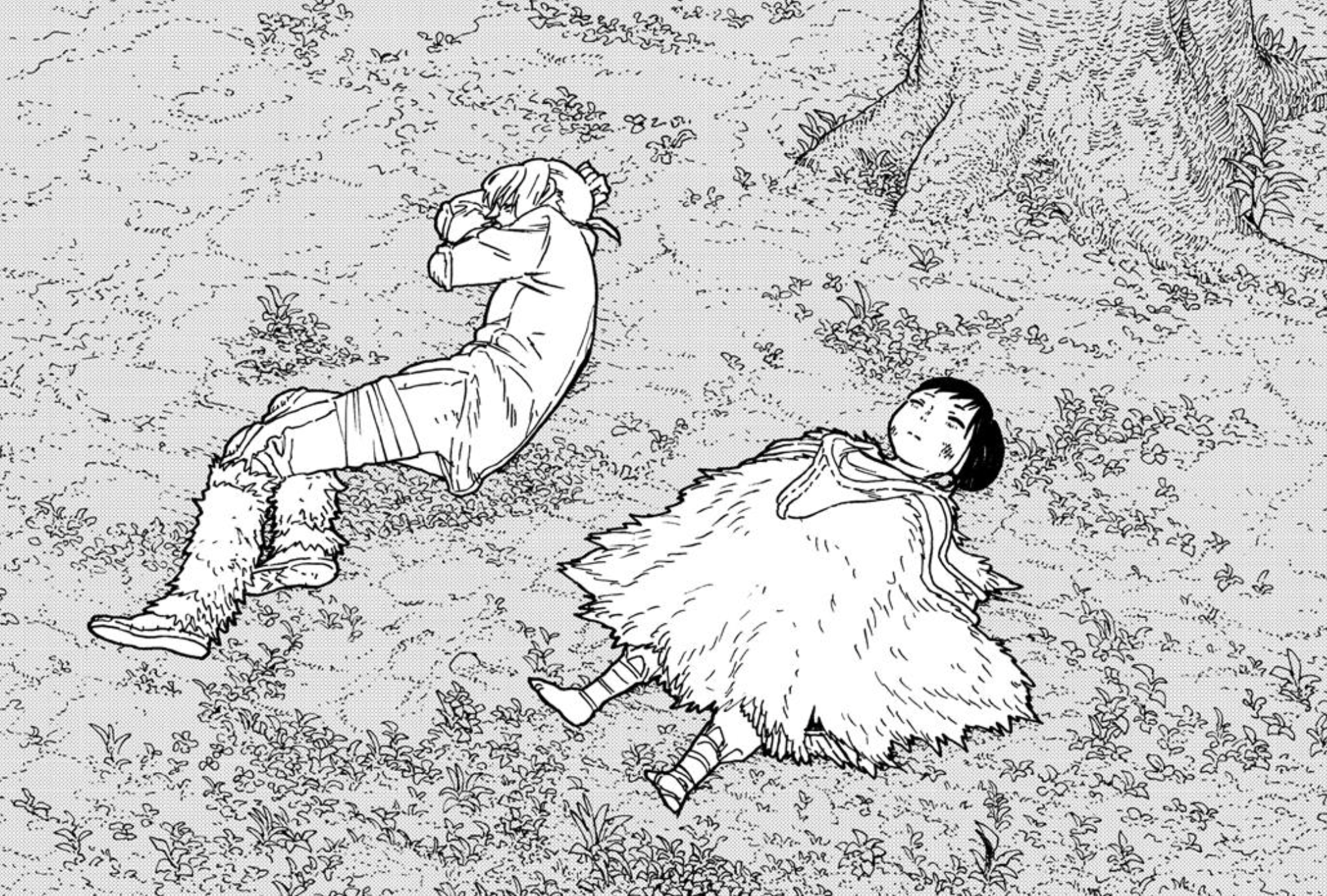 ikah ueki - 6 12 2018 : To Your Eternity, Fushi