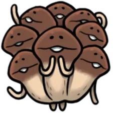 The Nameko World | Funghi Gardening Wiki | Fandom