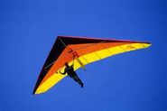 Hang glider