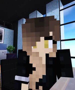 Funny and gold minecraft store