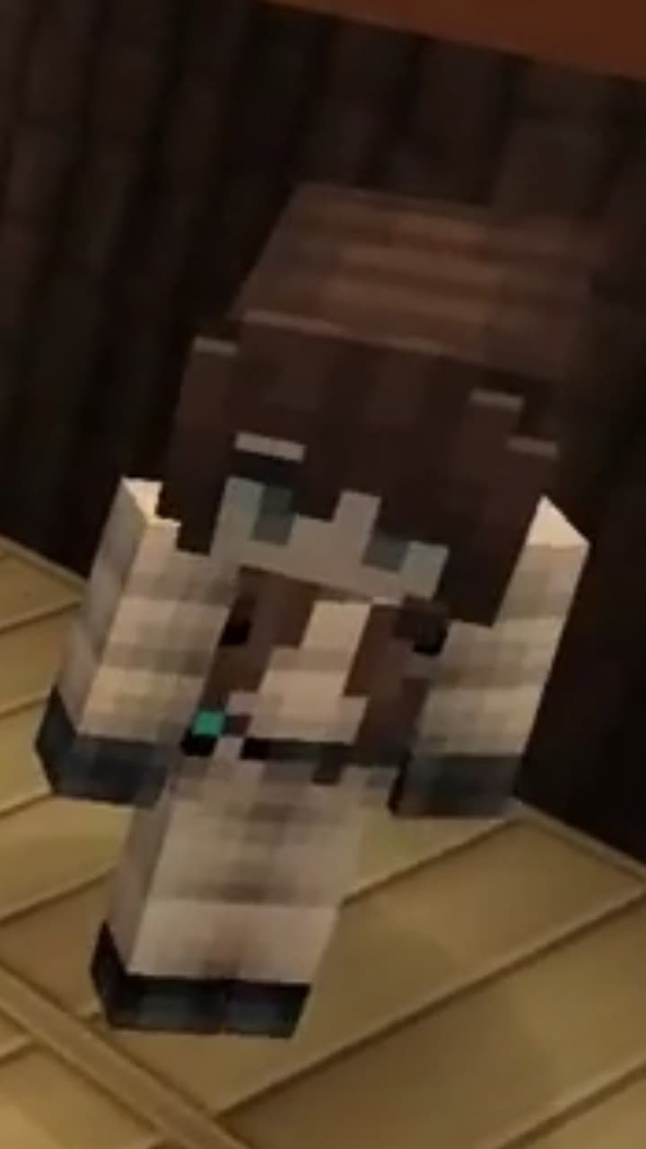 Mia Minecraft