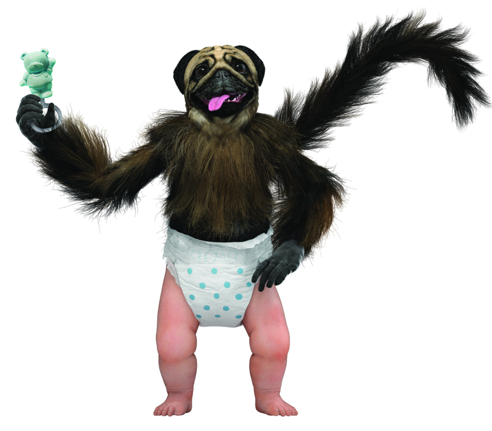Puppy Monkey Baby Funny Little Character Wiki Fandom