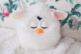 White Furby The Furby Wiki Fandom