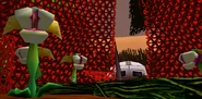 Hydroponic Dome with Grondas