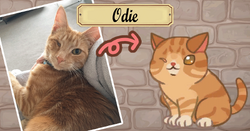 Duchess Draka, Furistas Cat Cafe Wiki