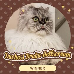 Duchess Draka, Furistas Cat Cafe Wiki