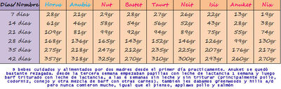 Rakel2
