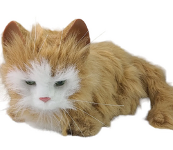 Furreal friends cheap orange cat