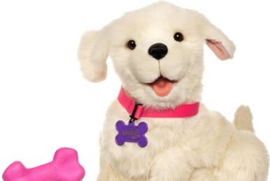 Official Rules and Instructions For Furreal Friends Biscuit My Lovin' Pup -  Hasbro
