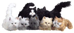 Fur real cheap pet cat