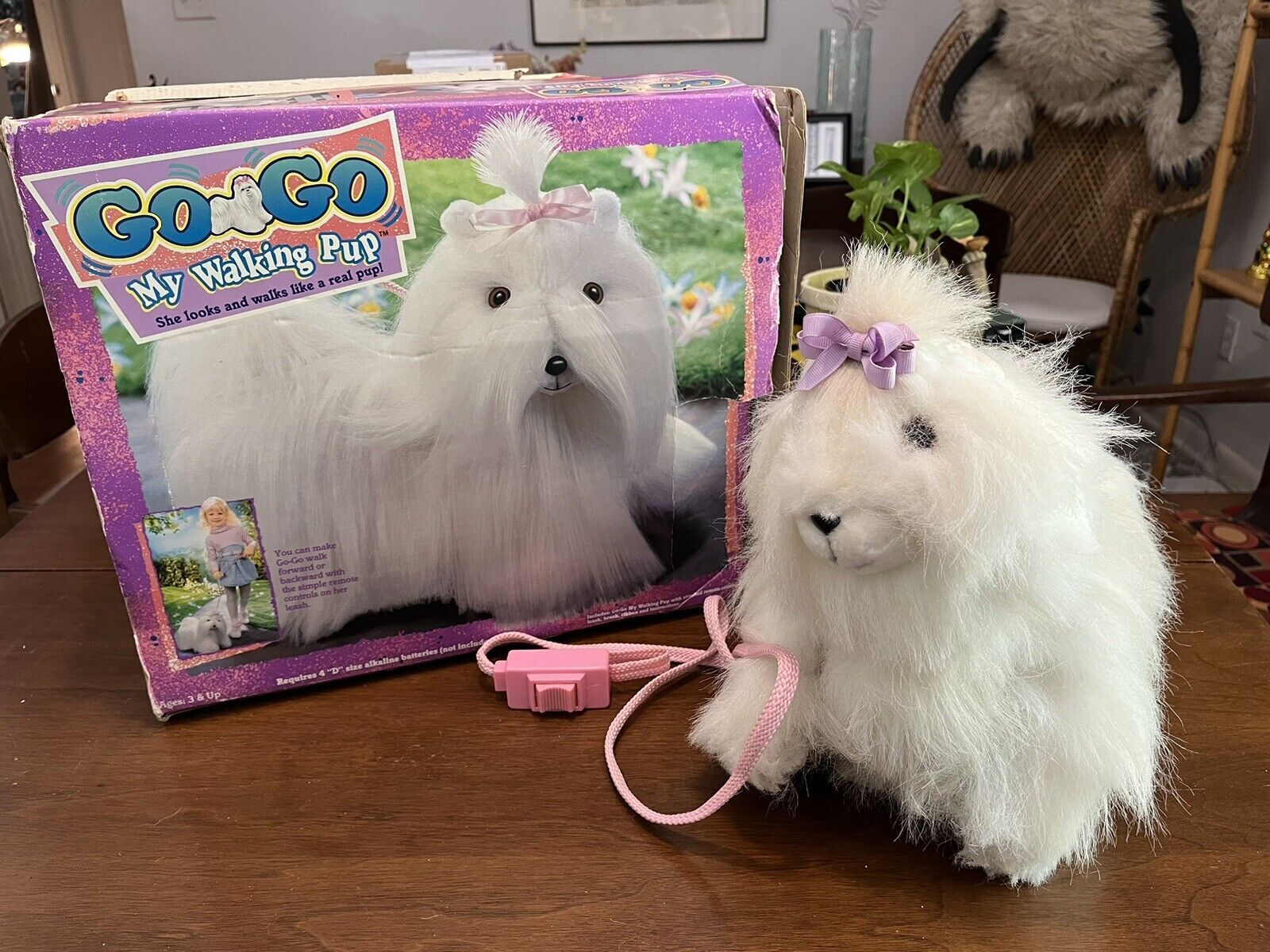 Gogo my walkin pup 2025