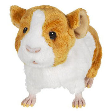 Newborn Guinea Pig FurReal Wiki Fandom