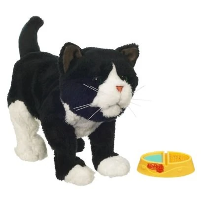 Dolphin Furreal 2025 Furreal Friends Dreamland Newborn Kitten