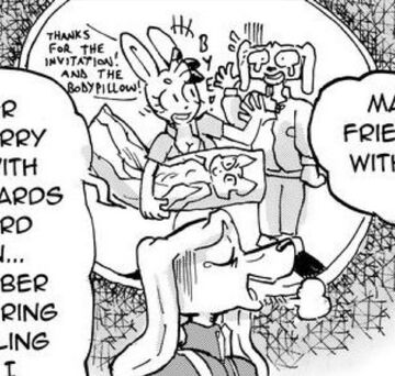 Furry fandom body clearance pillows