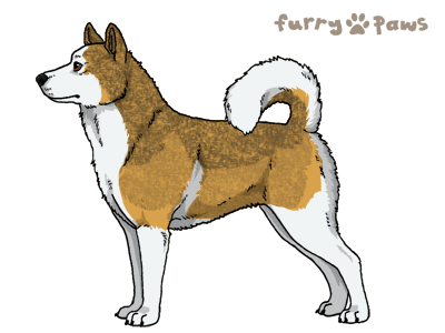 Malamute wiki 2025