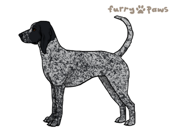 Blue tick pointer top