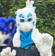 龍塔奇.png