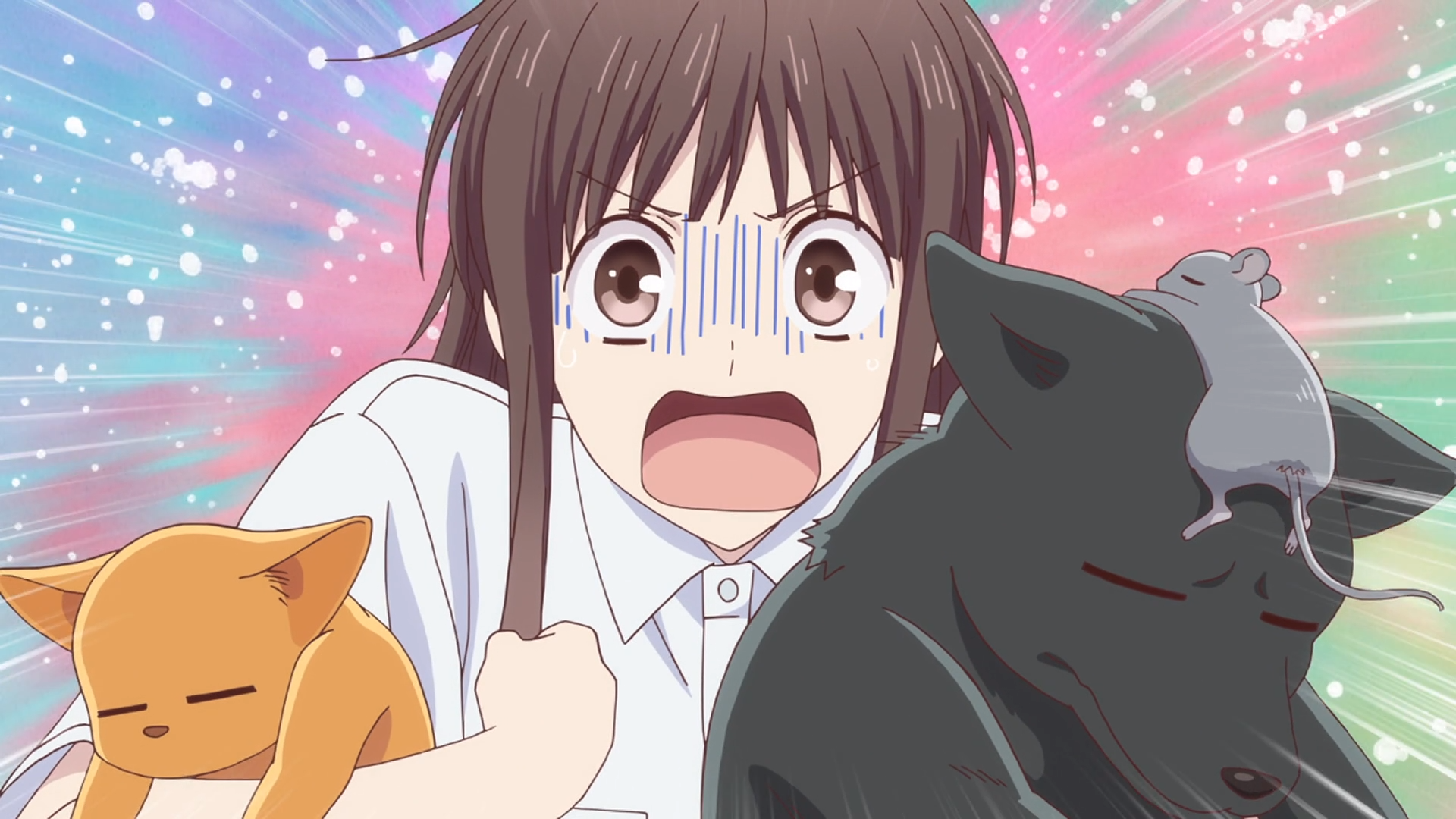 Fruits Basket (2019 Anime), Fruits Basket Wiki