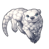 White Cloud Otter