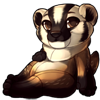 American Badger Mustelid