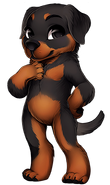 Rottweiler (Base)