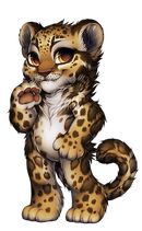 39-10-clouded-leopard