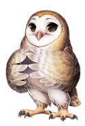 Owl