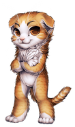 Scottish Fold (Base)