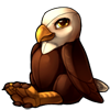 Bald Eagle Raptor