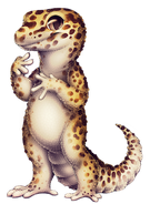 Gecko