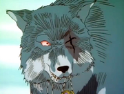 Ashitare's wolf form.