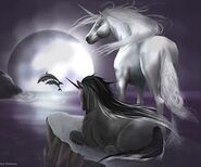 Beautiful-Unicorns-unicorns-24601929-240-200