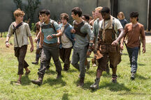 The Gladers