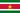 Flag of Suriname