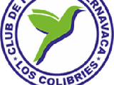 Colibríes de Morelos