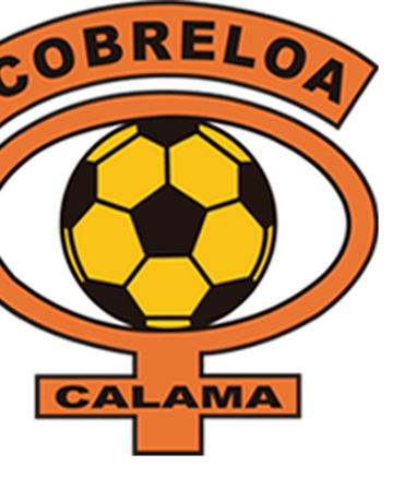 Cobreloa Wiki Futbolchileno Fandom