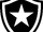 Botafogo de Futebol e Regatas