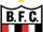 Botafogo Futebol Clube (Ribeirão Preto)