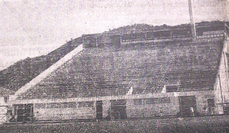 Vila1950