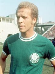 Ademir da Guia (Palmeiras)