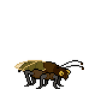 Cockroach idle.png