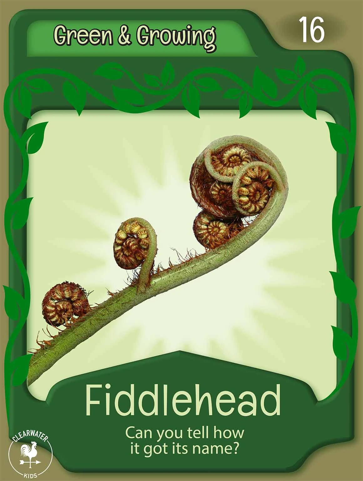 Fiddlehead Future Chicken Wiki Fandom