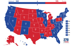 2020 electoral map-0