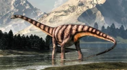 Proximan Sauropod